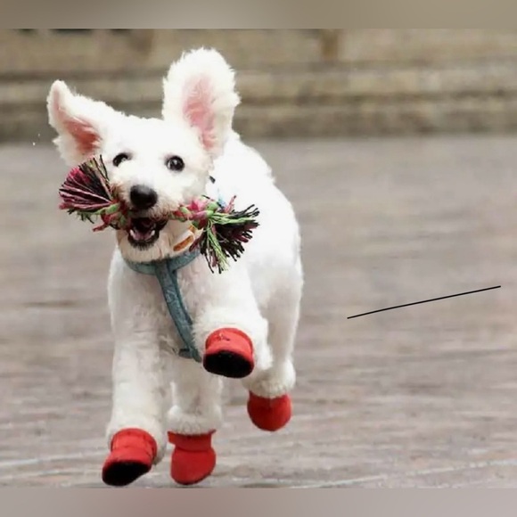 4pcs Dog Shoes - XXS - Picture 2 of 5